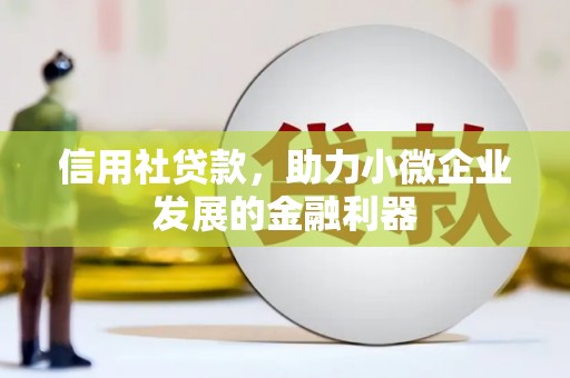 戚墅堰信用社贷款，助力小微企业发展的金融利器