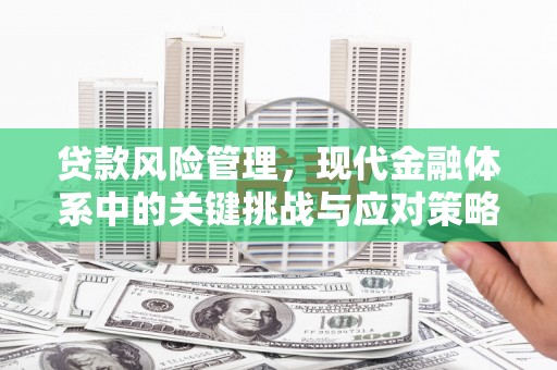 戚墅堰贷款风险管理，现代金融体系中的关键挑战与应对策略