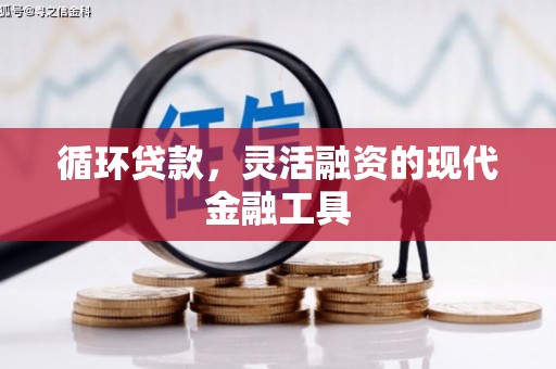 戚墅堰循环贷款，灵活融资的现代金融工具