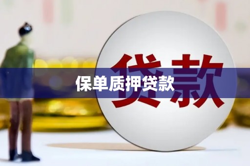 戚墅堰保单质押贷款