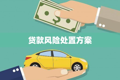 戚墅堰贷款风险处置方案