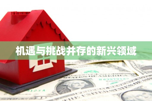 戚墅堰机遇与挑战并存的新兴领域