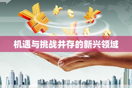戚墅堰机遇与挑战并存的新兴领域