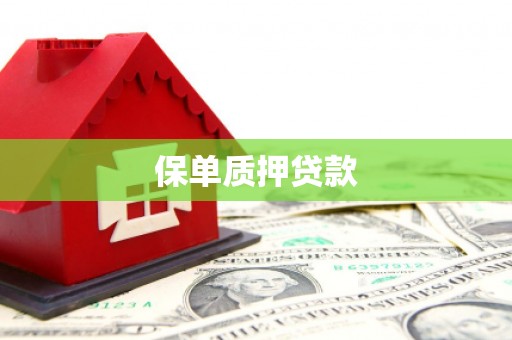 戚墅堰保单质押贷款