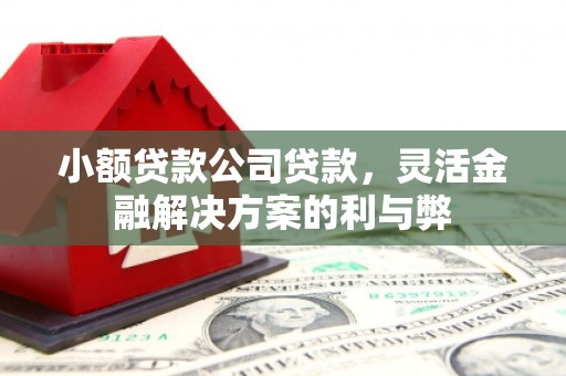 戚墅堰小额贷款公司贷款，灵活金融解决方案的利与弊