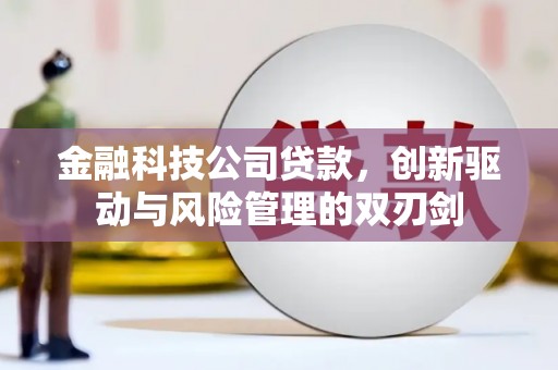 戚墅堰金融科技公司贷款，创新驱动与风险管理的双刃剑